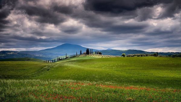 Jaynes Gallery 아티스트의 Europe-Italy-Tuscany-Val d Orcia-Farmland under stormy sky작품입니다.